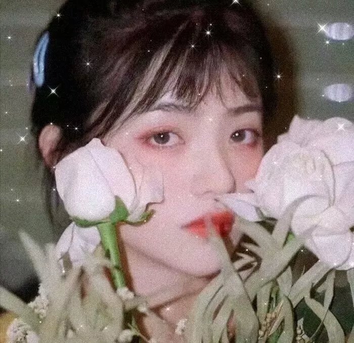 迷途之狼